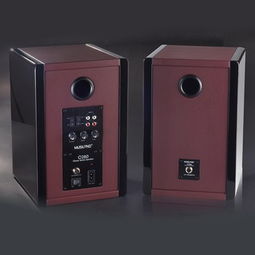 樂(lè)之邦C280 HiFi音箱 電子分頻技術(shù)與鑄鋁盆架低音的卓越融合
