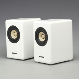 aune X3發燒3寸全頻音箱 經典桌面Hi-Fi之選